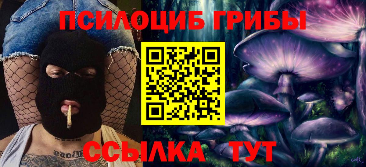Галлюциногенные грибы GOLDEN TEACHER Коломна