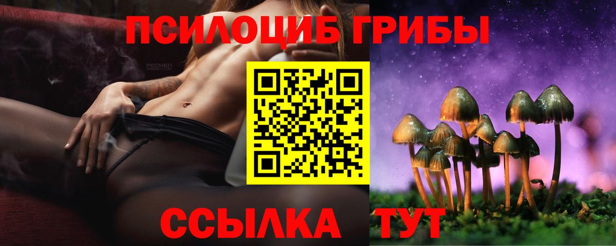 Коломна  Галлюциногенные грибы Psilocybe  цены наркотик  Вход с VPN 